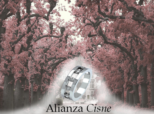 alianza cisne